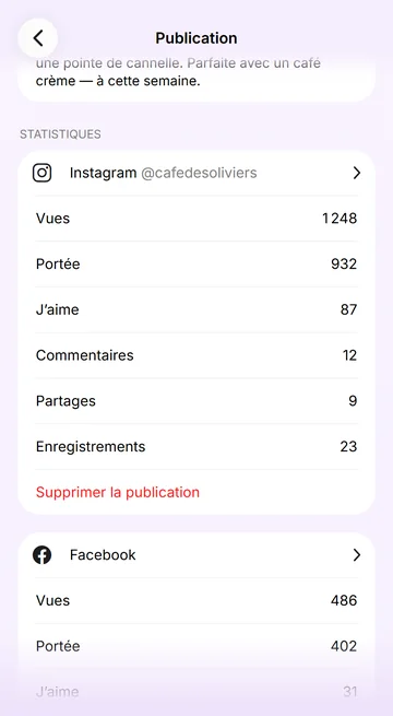 Les statistiques de chaque publication, réseau par réseau