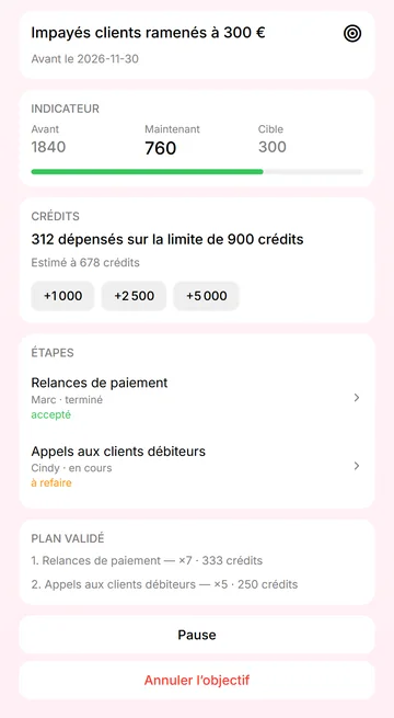 Page de l’objectif : progrès, crédits dépensés, avis de Leo par étape