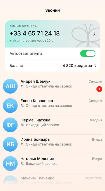 Все звонки линии бизнеса — и те, на которые ответила Синди
